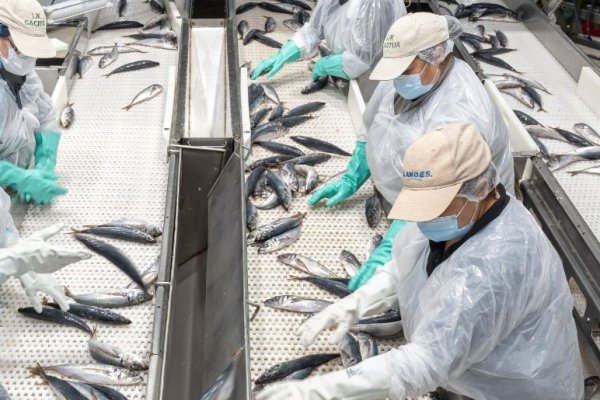 <p>Landes se suma a ofensiva judicial de pesqueras contra Ley de Fraccionamiento y exige indemnización de más de US$ 70 millones</p>