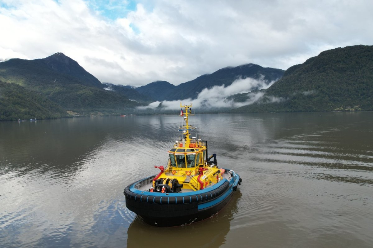 <p>SAAM cierra 2025 con utilidades récord de US$ 80,4 millones</p>