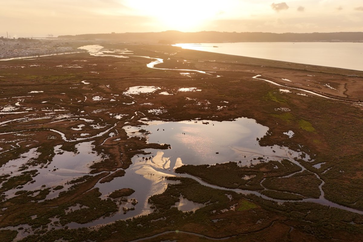 <p>Gremios productivos del Biobío acusan golpe a la inversión tras declaratoria de humedal Rocuant-Andalién y exigen revisión al nuevo Gobierno</p>