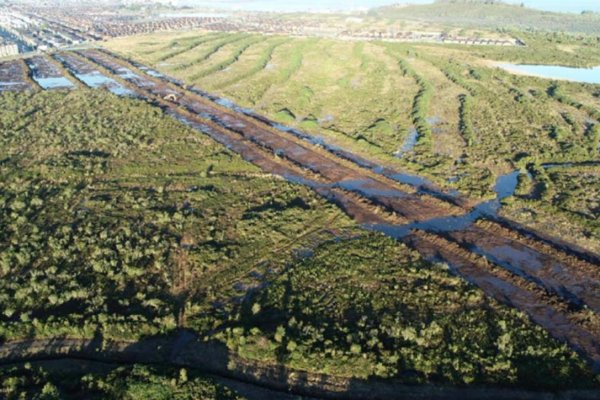 SMA multa a Inmobiliaria Rossan por ejecutar obras al interior de humedal en Puerto Montt sin RCA