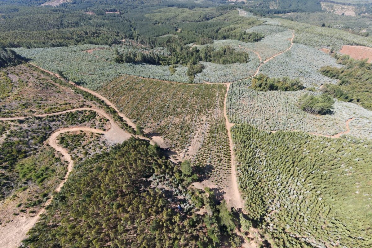 <p>El proyecto de tierras raras que se incuba en Biobío para satisfacer a EEUU</p>