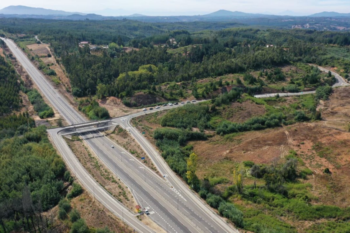 <p>MOP inicia obras en Ruta del Itata para implementar el cobro con TAG durante el segundo semestre</p>