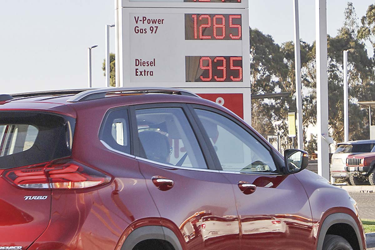 <p>Foto: Tamara Silva</p>