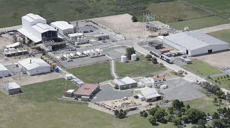 <p>Argentina Agrofina avanza en proceso de readecuación de su estructura con recortes y nuevos socios comerciales</p>