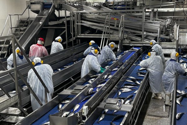 <p>FoodCorp se suma a ofensiva judicial de pesqueras y anuncia demanda contra el Estado que supera los US$ 100 millones</p>