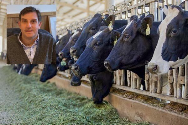 Producción de carne bovina inica 2026 a la baja: Fedecarne advierte "desinversión prolongada" y exige política de Estado que fortalezca la ganadería