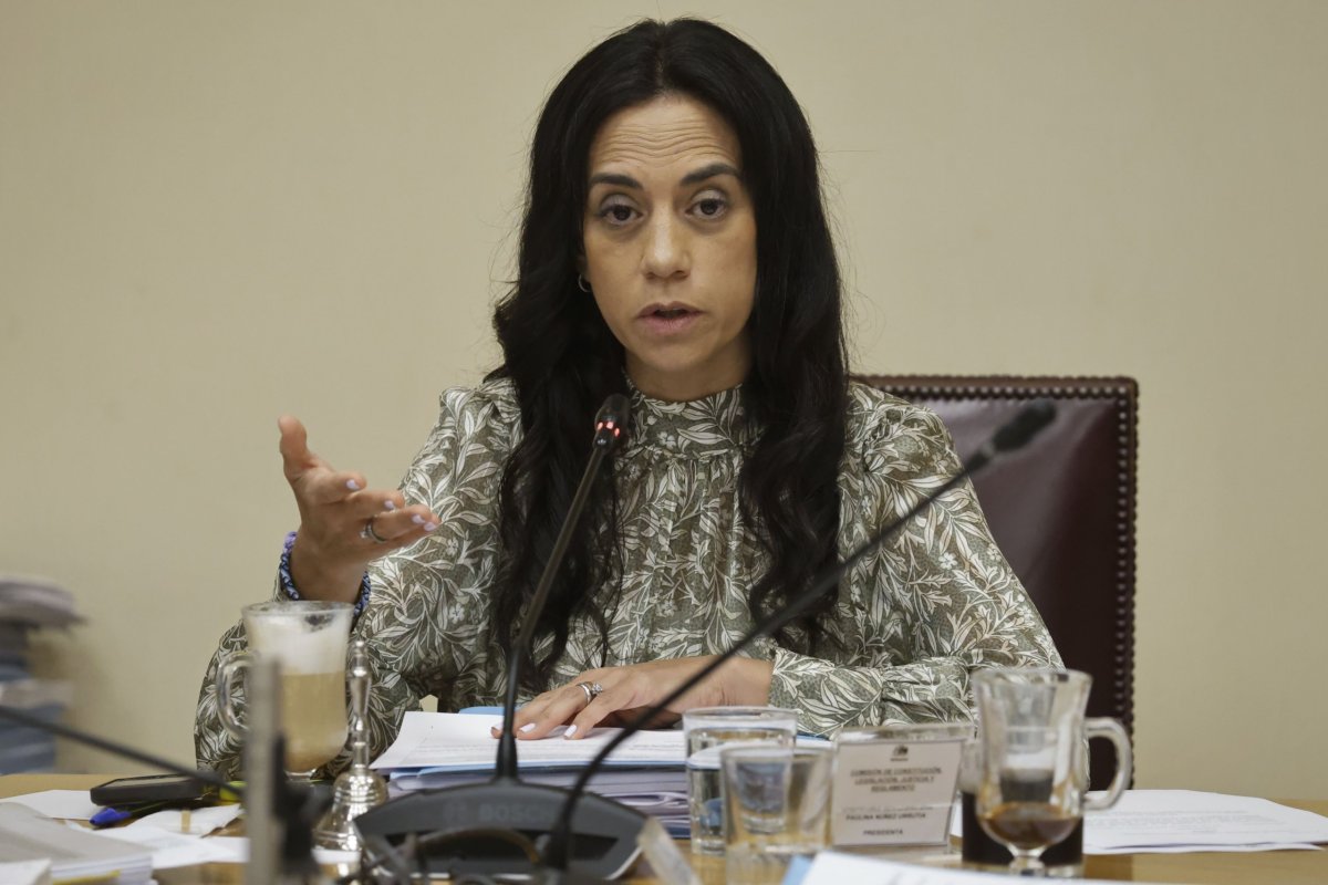 <p>Ñúñez (RN) resultó electa para suceder a Manuel José Ossandón. Foto: Aton Chile</p>