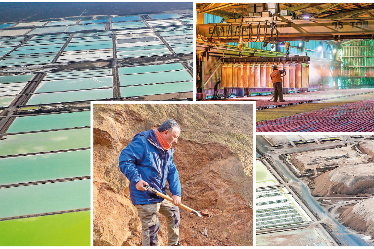 <p>Fotos: Julio Castro y Archivo </p>