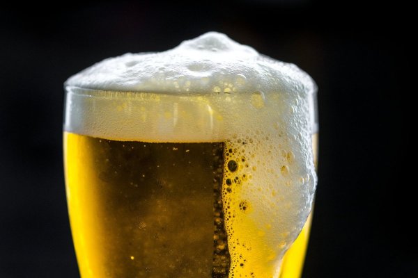 <p>Trabaja en lo que amas: Universidad Austral y Kunstmann lanzan un Diplomado en Ciencia Cervecera</p>