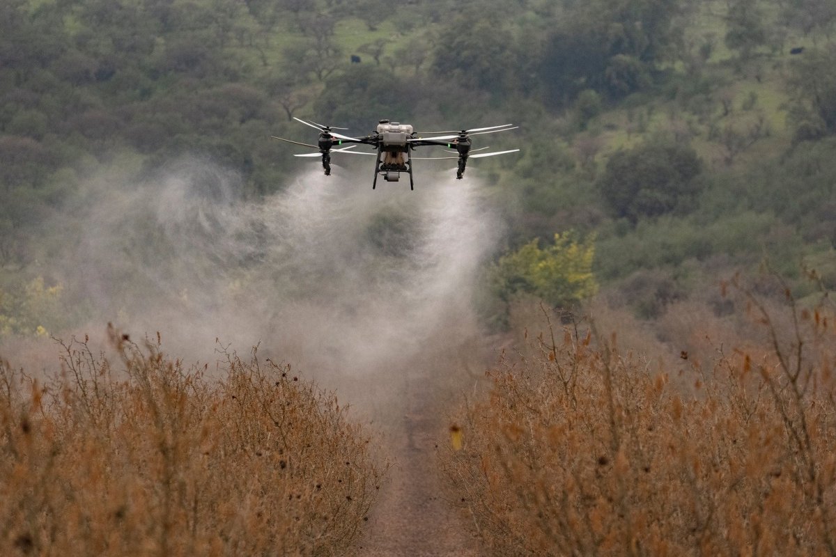 El plan de Ignacio del Río Goudie para polinizar Estados Unidos