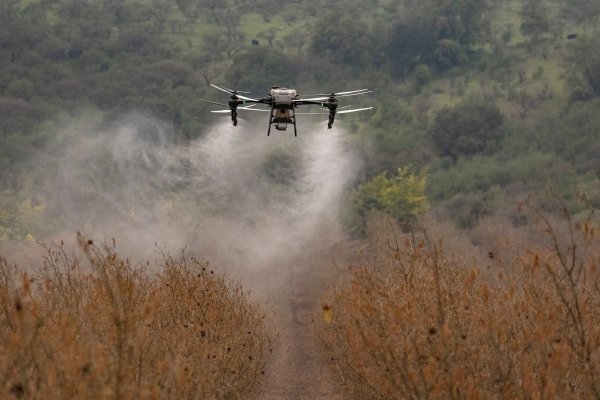 El plan de Ignacio del Río Goudie para polinizar Estados Unidos