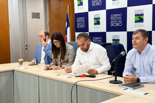 <p>Gremios y Gobierno crean fondo para financiar IVA y copagos de más de 400 emprendedores afectaos por incendios en Biobío</p>