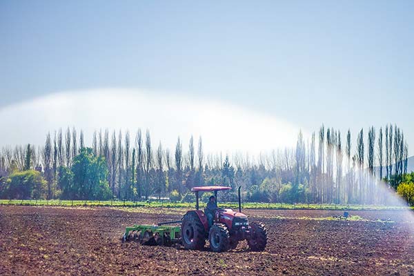 <p>Terrenos como activo estratégico: precios promedio de suelos agrícolas en Biobío suben 56% desde 2017 pese a caída en cantidad de transacciones</p>
