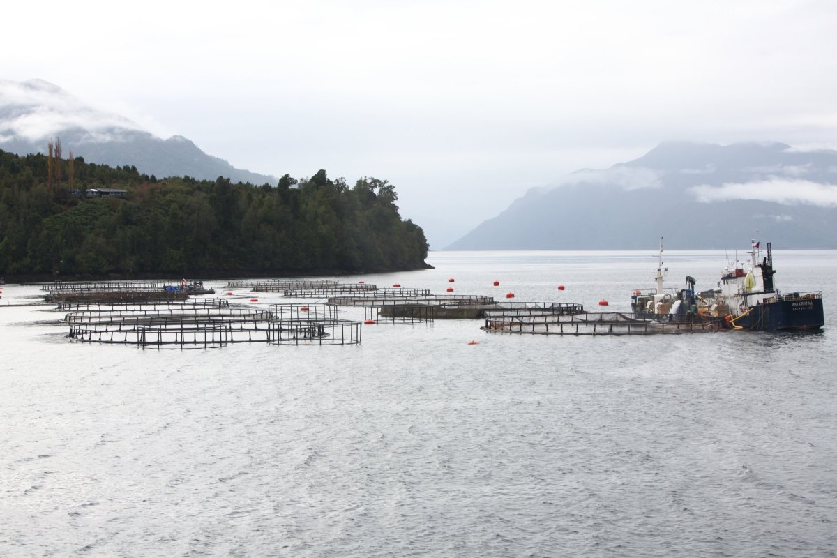 <p>Foto: Julio Castro.</p>