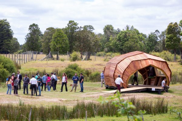 Puerto Montt asegura que el remezón científico por el estudio que afirma que Monte Verde no es tan antiguo no va a aguar el cumpleaños 50 del sitio arqueológico
