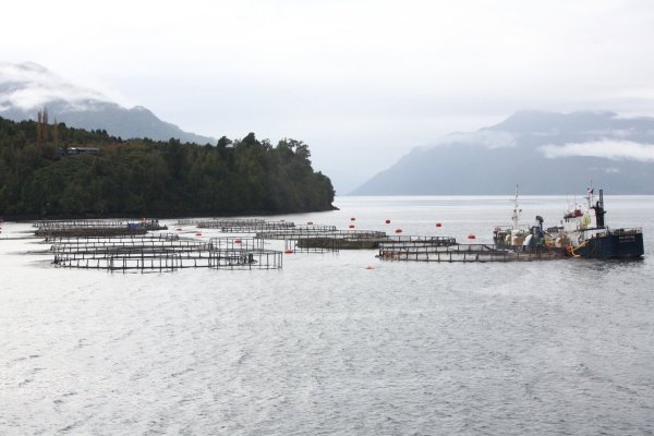 <p>Foto: Julio Castro.</p>