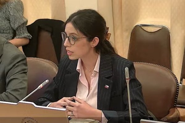 <p>Ministra de Medio Ambiente, Francisca Toledo, expone ante la comisión del ramo en la Cámara.  </p>