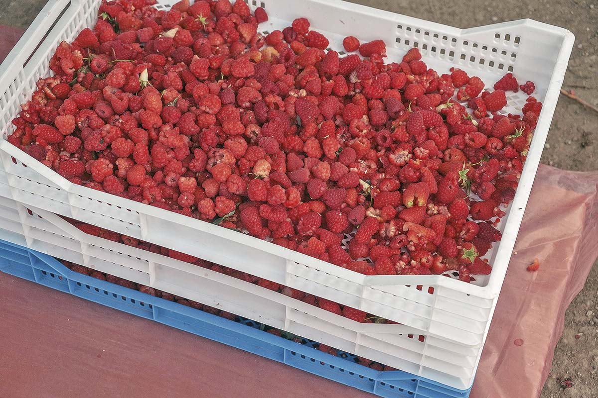 <p>Foto: Bloomberg</p>