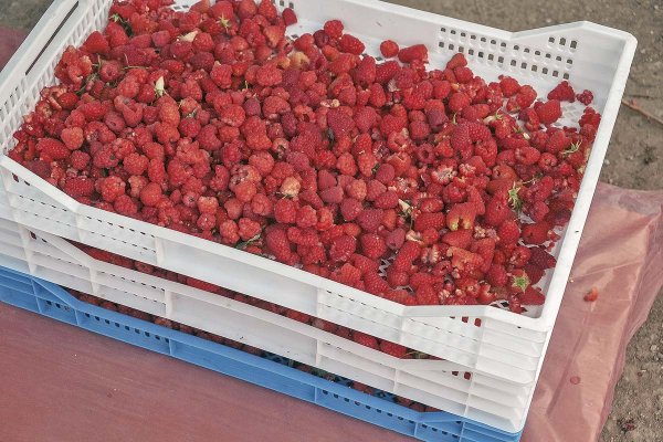 <p>Foto: Bloomberg</p>