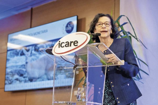 <p>La presidenta del Banco Central, Rosanna Costa.</p>