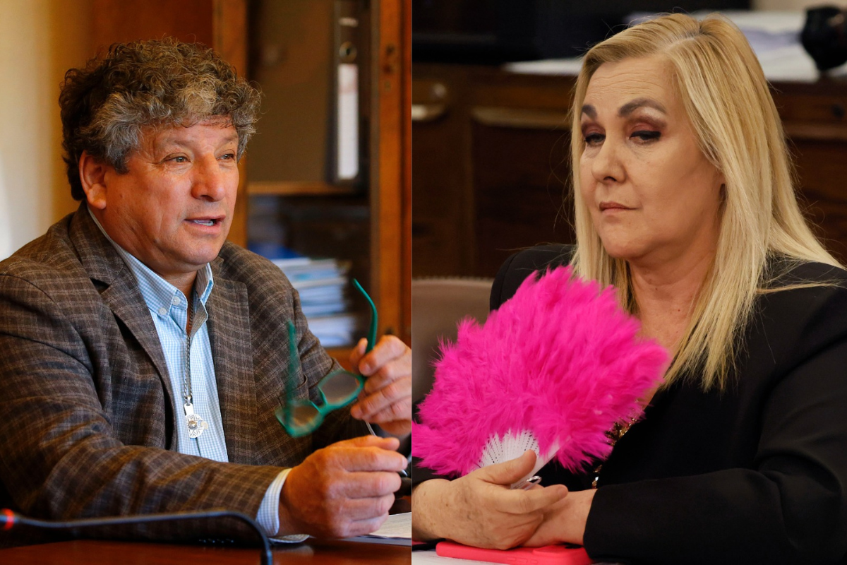 <p>El diputado independiente René Alinco junto a su par Pamela Jiles. (Fotos: Aton Chile)</p>