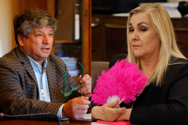 <p>El diputado independiente René Alinco junto a su par Pamela Jiles. (Fotos: Aton Chile)</p>