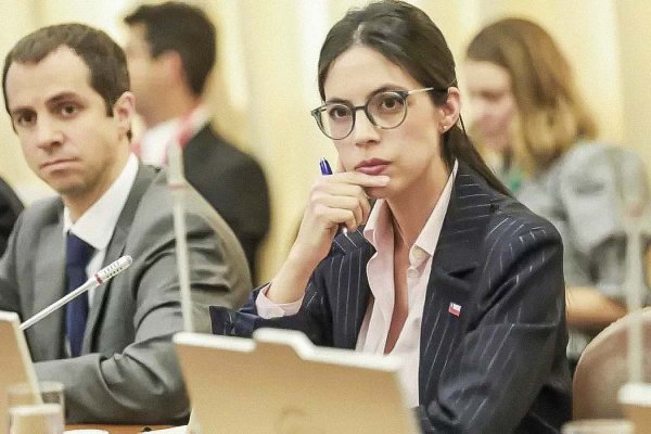 <p>La instancia es presidida por la titular de Medio Ambiente, Francisca Toledo. </p>