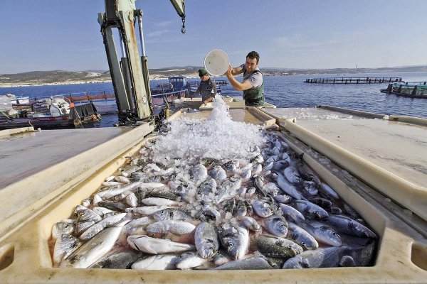 <p>Foto: Bloomberg</p>