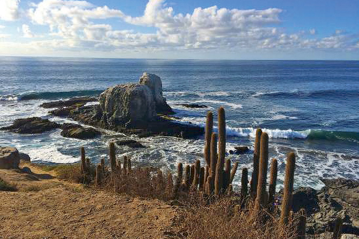 <p>El robo de vale vista que sufrió en Pichilemu uno de los hijos de José Luis del Río</p>