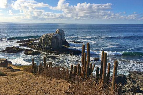 <p>El robo de vale vista que sufrió en Pichilemu uno de los hijos de José Luis del Río</p>
