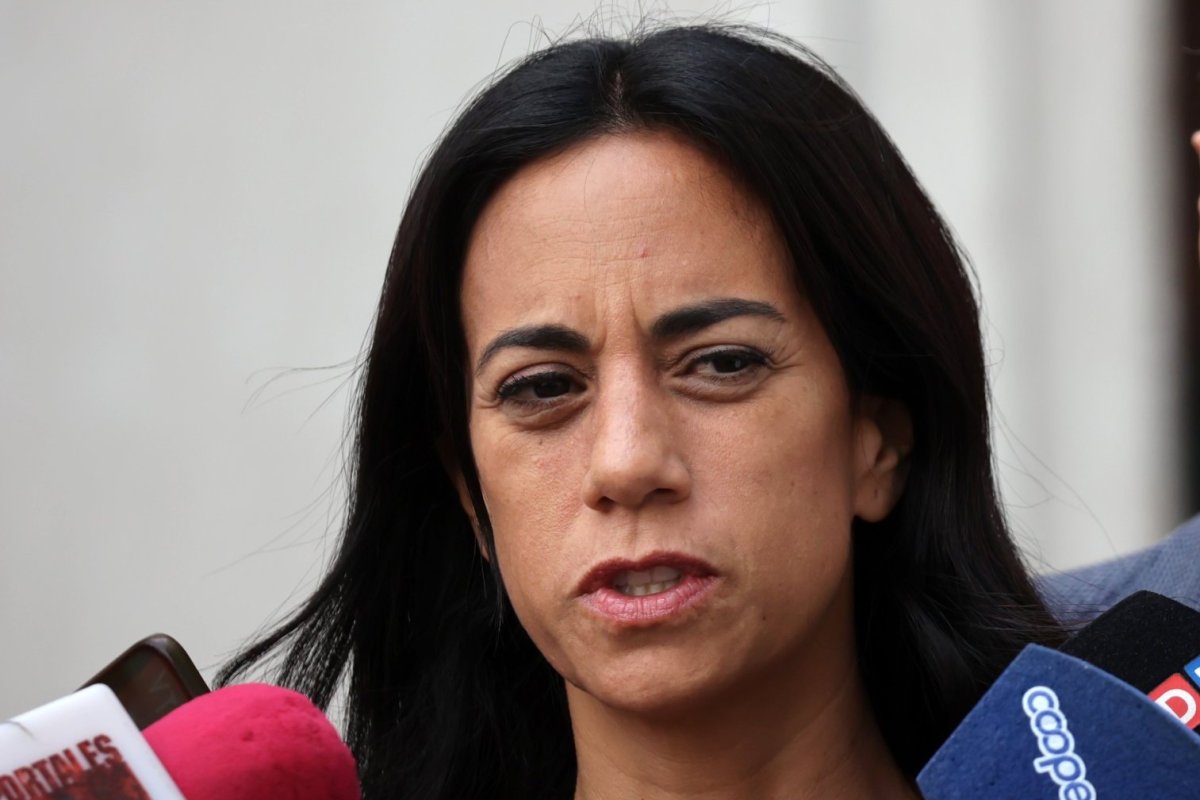 <p>“Aquí es donde uno nota que la experiencia en lo político es vital", declaró la parlamentaria oficialista. (Foto: Aton Chile)</p>