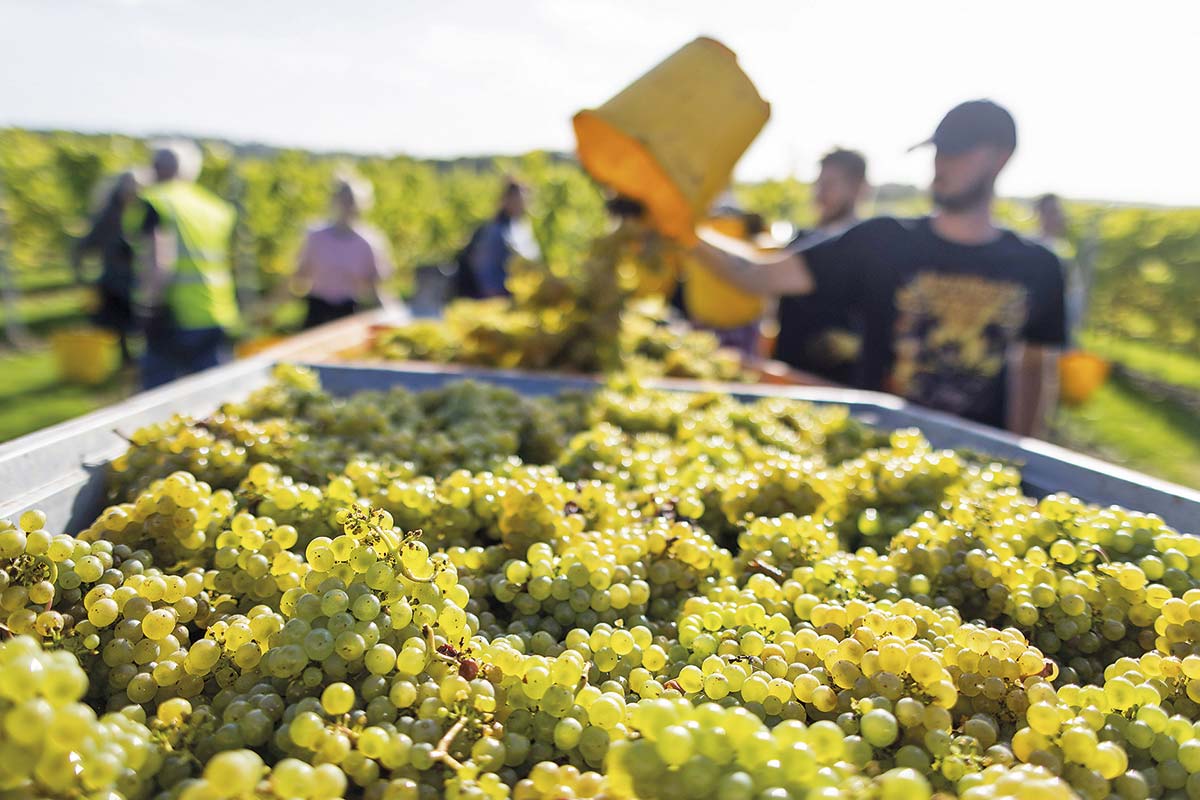 <p>Foto: Bloomberg</p>