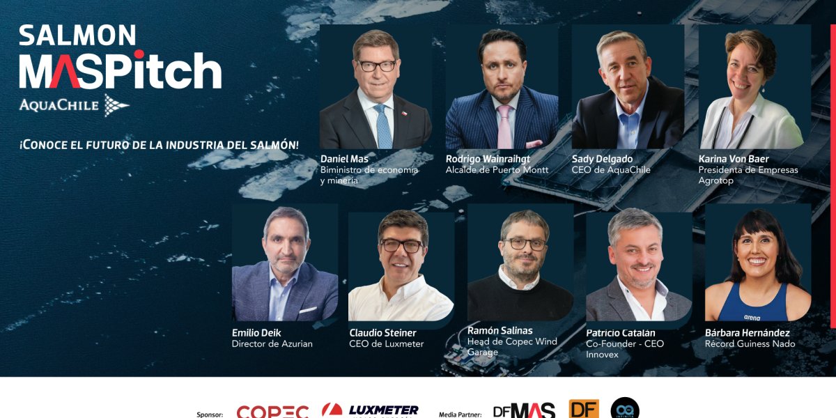 <p>SALMON MAS PITCH</p>