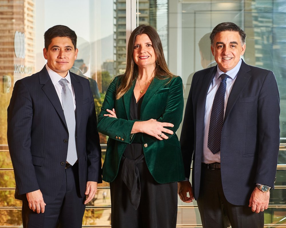 <p>Hermann González, Macarena Letelier y Javier Vergara.</p>