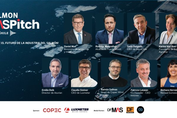 <p>SALMON MAS PITCH</p>