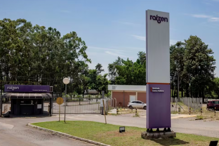 <p>Raizen estaría buscando convertir el 45% de su deuda en acciones</p>