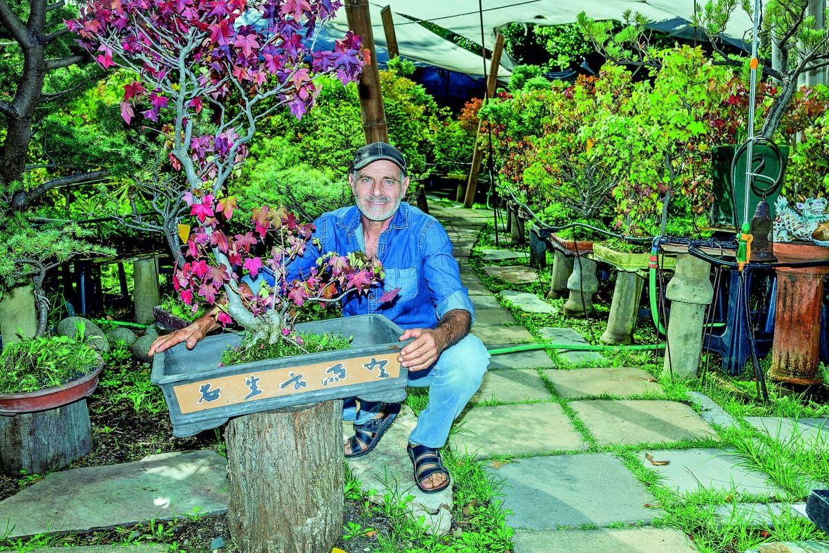 <p>El bosque de 9.000 bonsáis que se esconde en una casa de Las Condes</p>