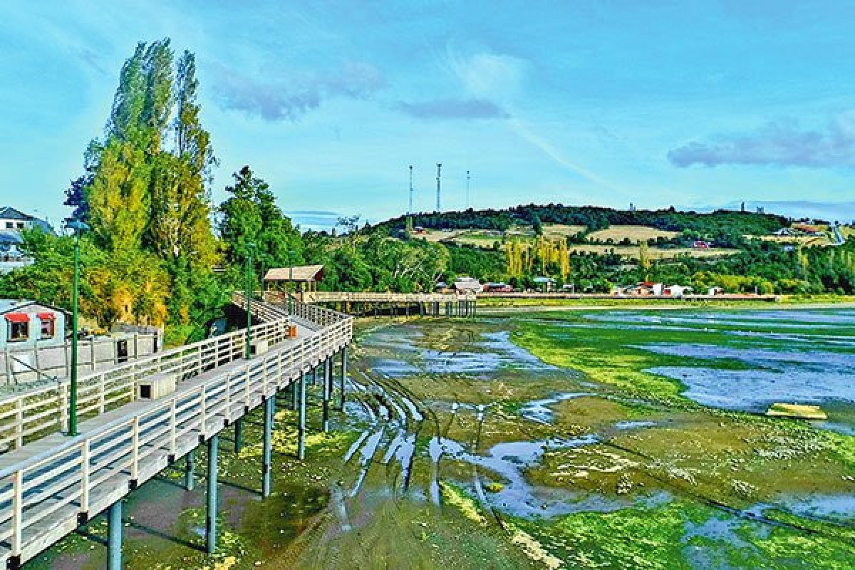 <p>Tribunal Ambiental ordena arresto de representantes de Inversiones Lampa por incumplir medidas en humedal Puente Negro</p>