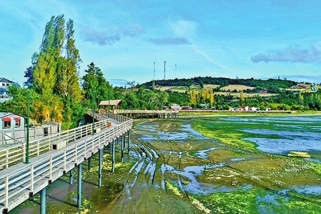 Tribunal Ambiental ordena arresto de representantes de Inversiones Lampa por incumplir medidas en humedal Puente Negro