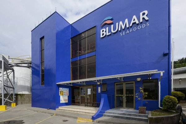 <p>La factura de McKinsey en los resultados de Blumar</p>