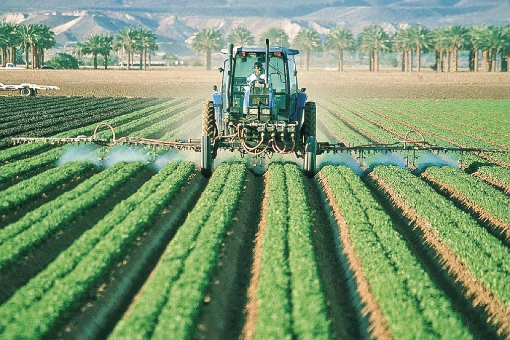 Guerra tensiona precio de fertilizantes y efectos podrían sentirse en los cultivos del país en otoño-invierno