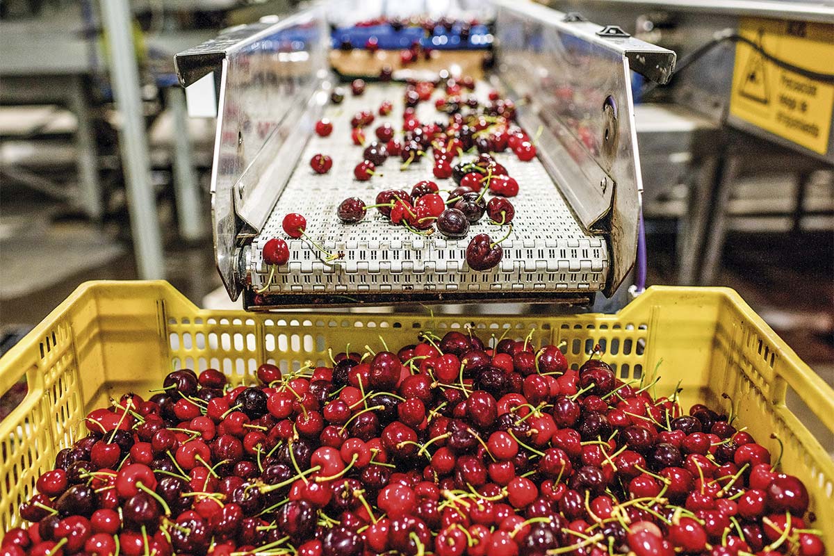 <p>Foto: Bloomberg</p>