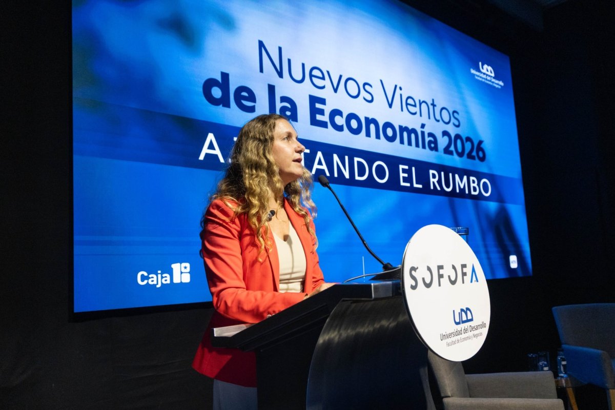 <p>Nueva revisión a sistema de permisos y más eficiencia del gasto público: los focos de Sofofa para reactivar la economía</p>