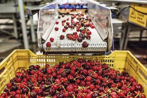 <p>Foto: Bloomberg</p>