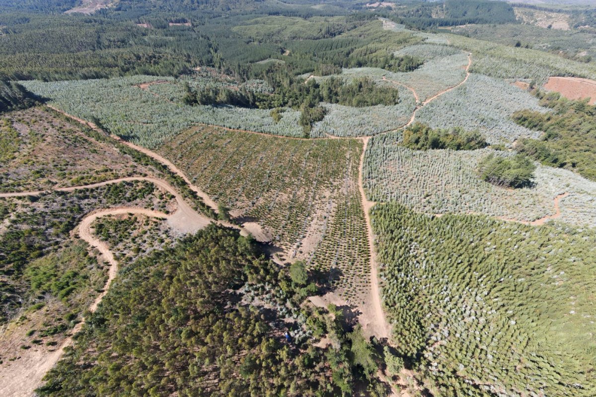 <p>Proyecto de tierras raras de Chilean Cobalt en Biobío pasa a prefactibilidad y proyecta primera producción para 2027</p>