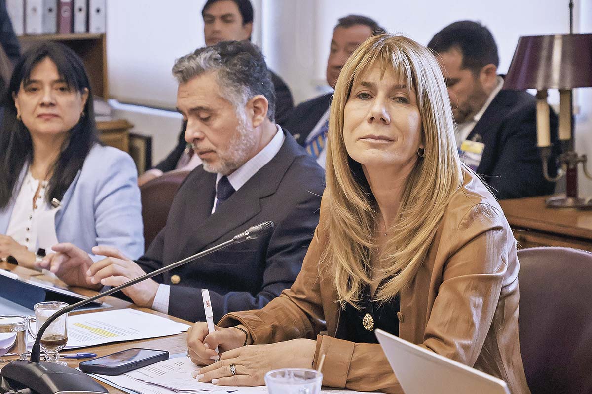 <p>Ministra Ximena Rincón en la comisión de Minería y Energía del Senado. Foto: Aton Chile</p>