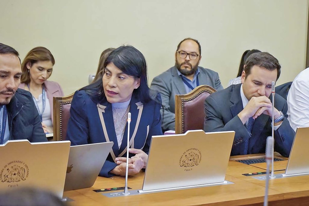 Gobierno anuncia querella por agresión a ministra de Ciencia en la Universidad Austral