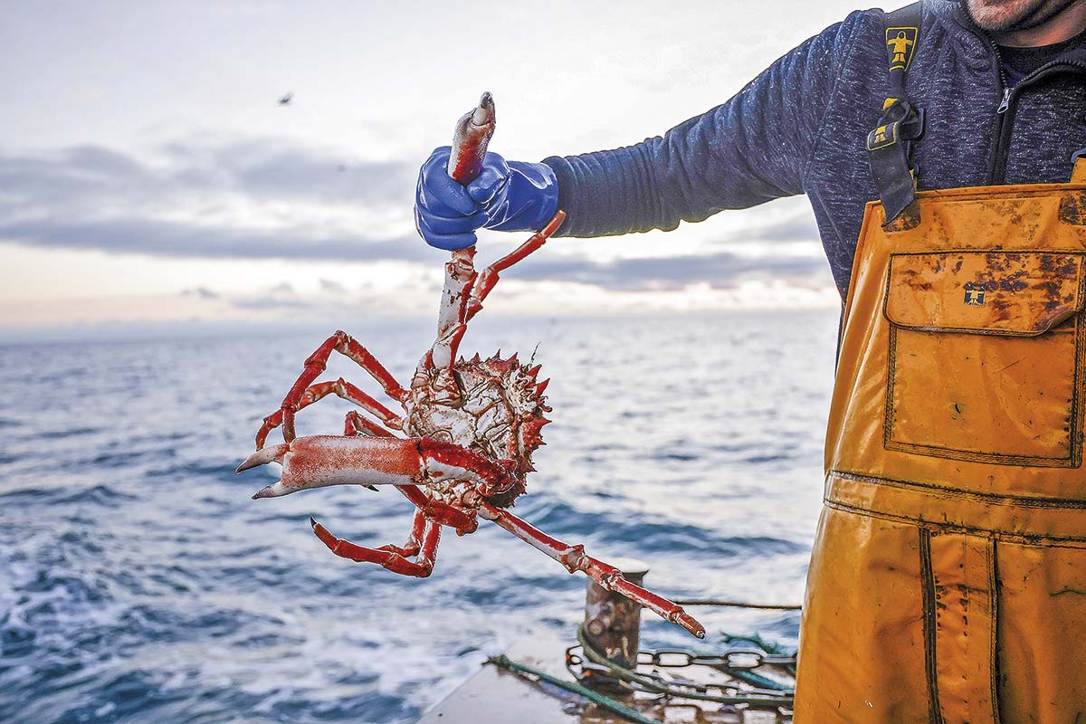 <p>Foto: Bloomberg</p>