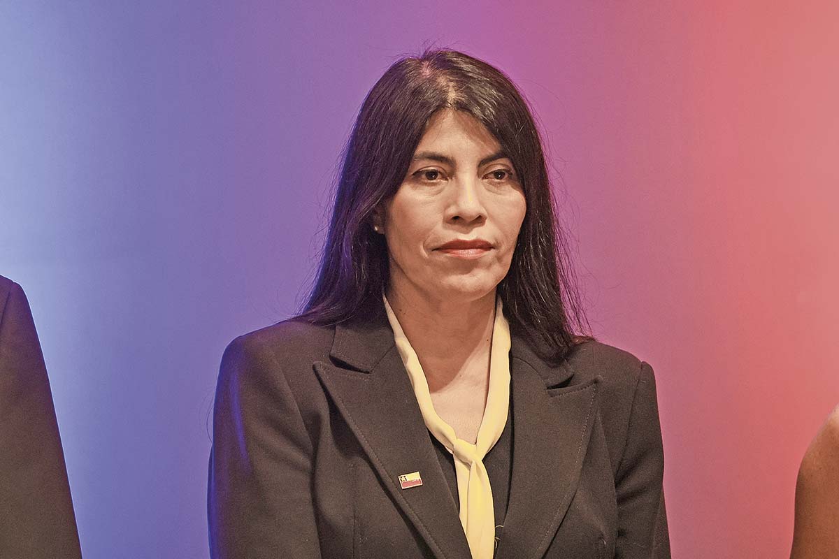 <p>Crédito: Aton Chile</p>