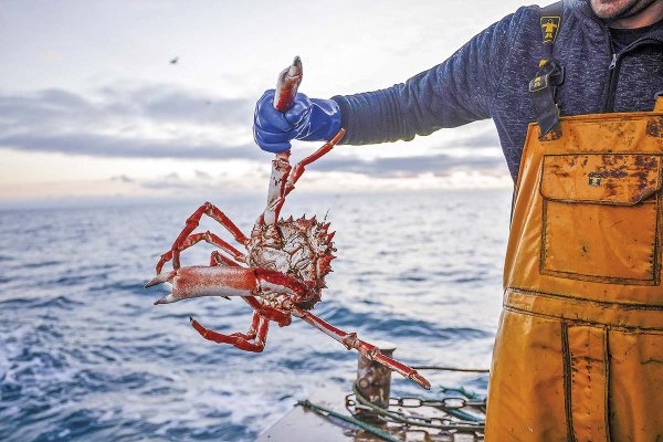 <p>Foto: Bloomberg</p>